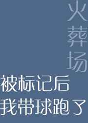 被标记后我带球跑了 完结+番外